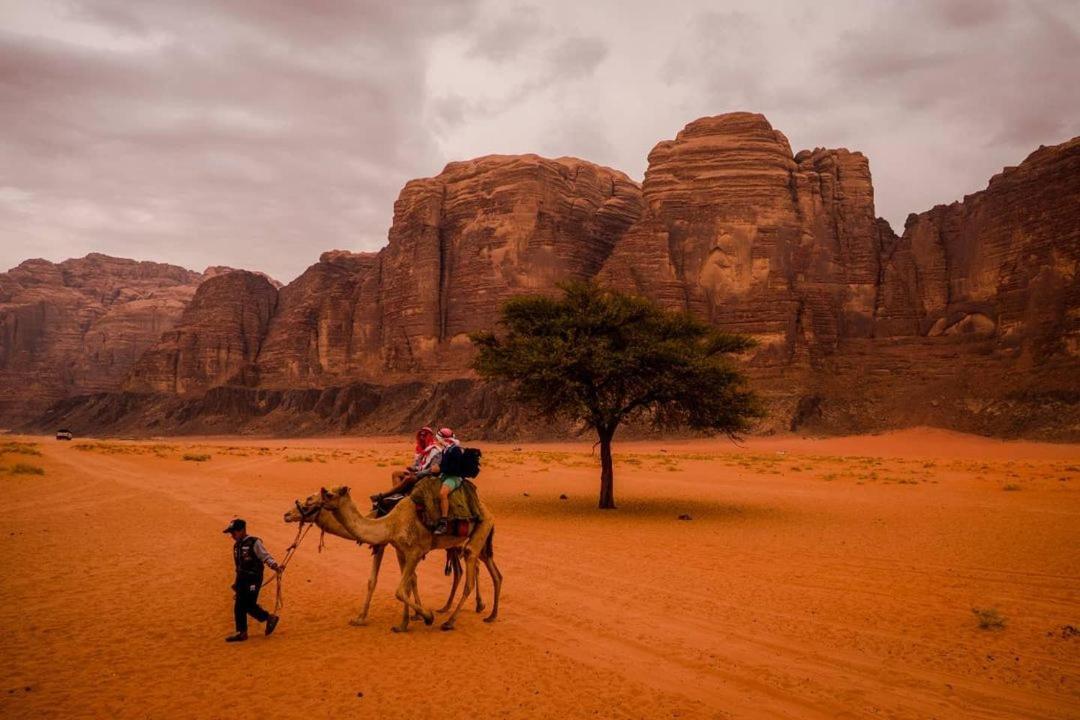 Moon City With Jeep Trips Wadi Rum Buitenkant foto