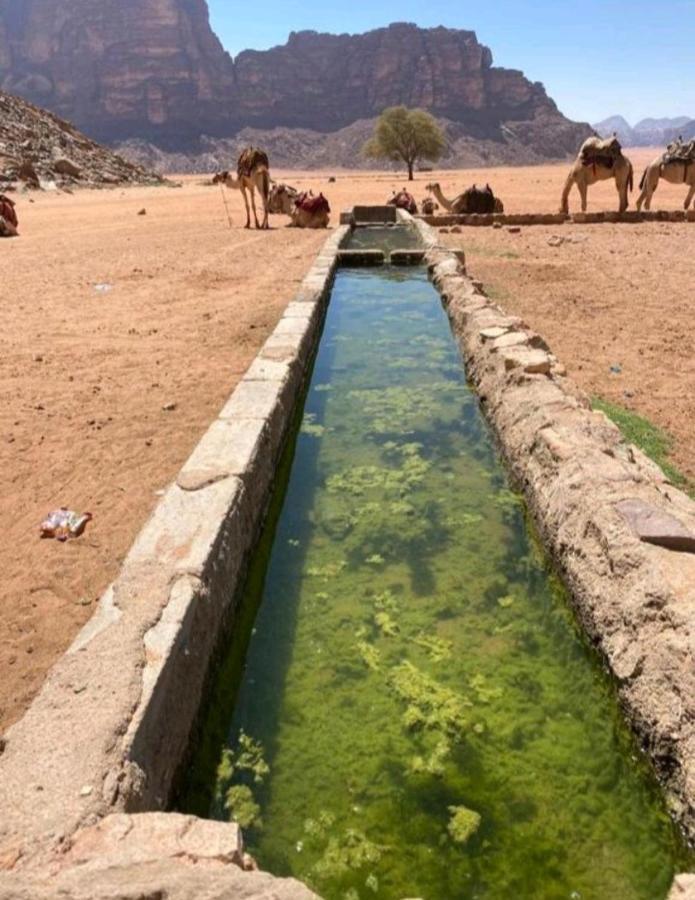 Moon City With Jeep Trips Wadi Rum Buitenkant foto
